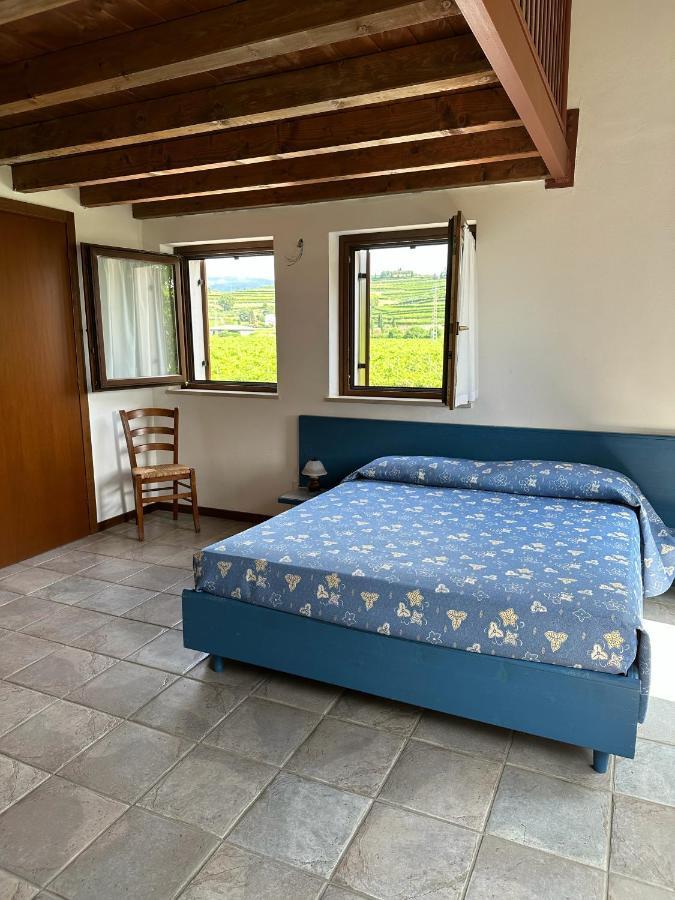 Agriturismo Fioravante San Pietro in Cariano Bagian luar foto